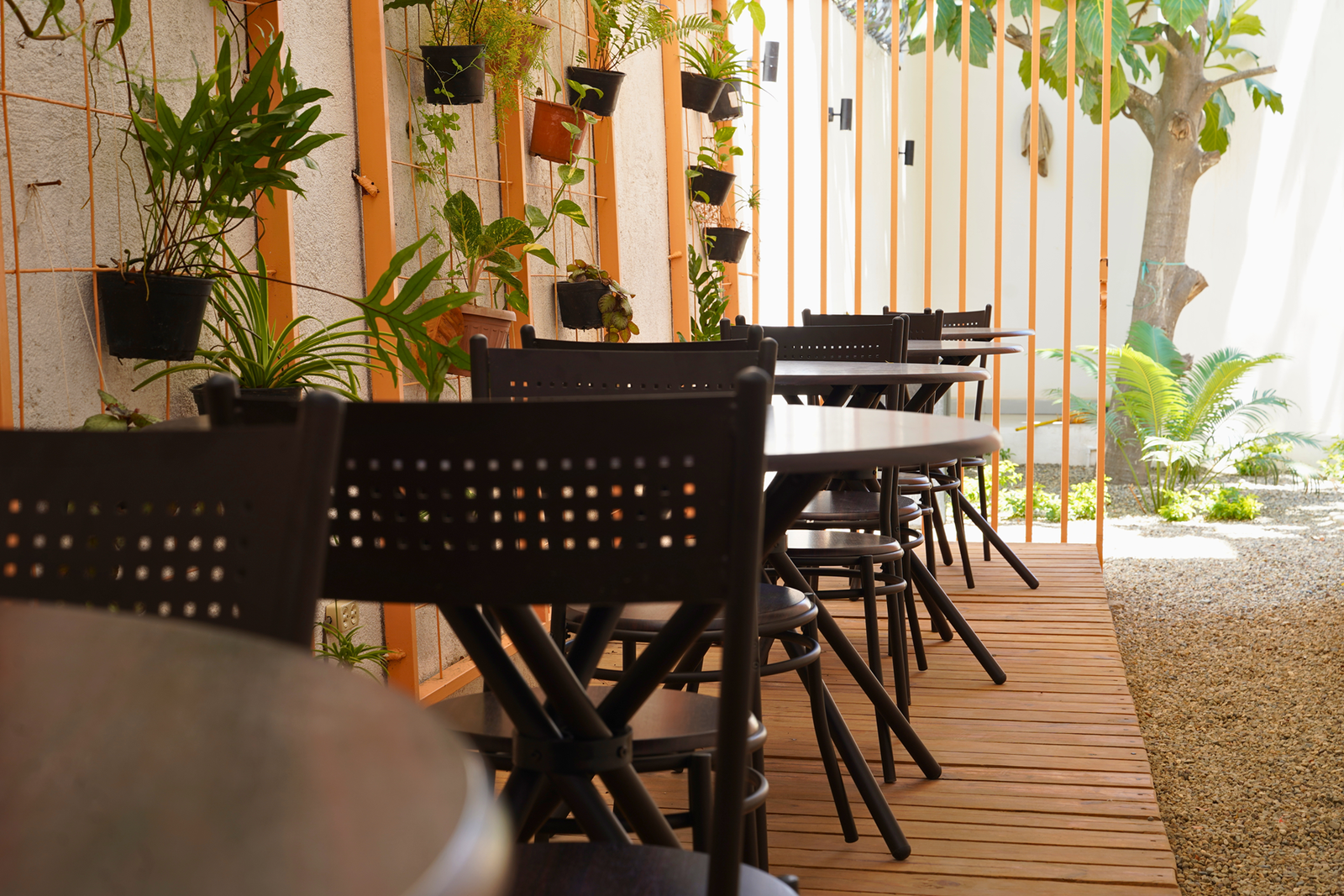 Espace Polyvalent / Lakou kreyatif